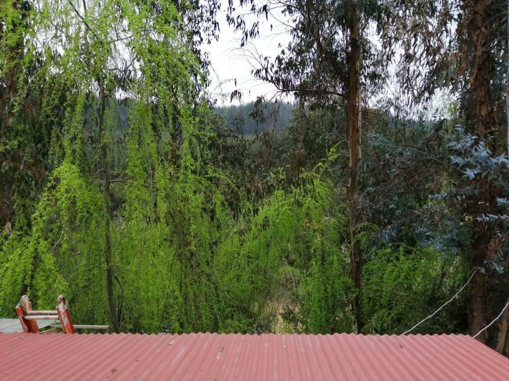 Hotel El Fogon De Rio Claro Esterno foto