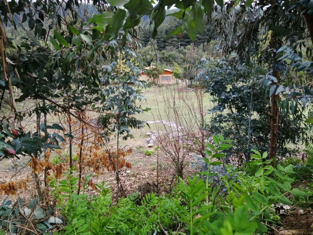 Hotel El Fogon De Rio Claro Esterno foto